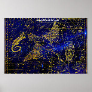 Constellation of the Lizard Poster