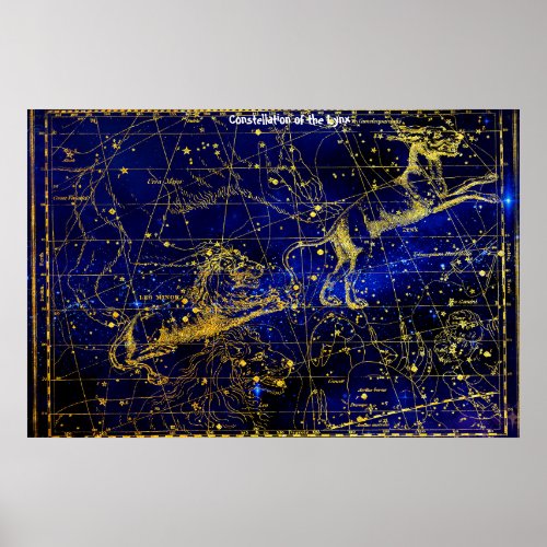 Constellation of the Lynx Poster