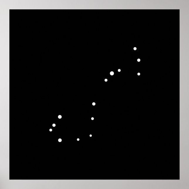 Constellation Scorpius by Leslie Peppers Poster (Front)