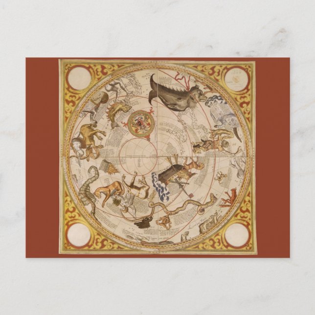 Constellation Stars Southern Sky Vintage Astronomy Postcard (Front)