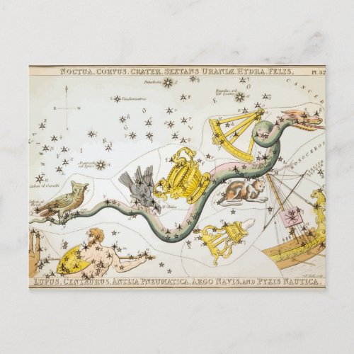 Constellations _ Stars _ Classic Astronomy Postcard