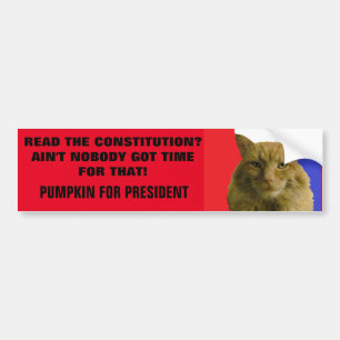 Constitution? Ain't Nobody Got Time For That! Bumper Sticker