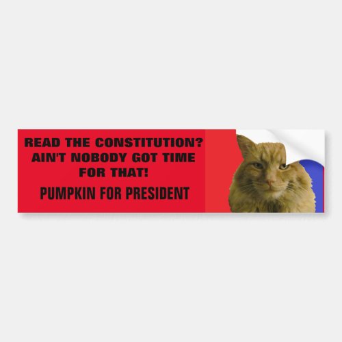 Constitution Aint Nobody Got Time For That Bumper Sticker