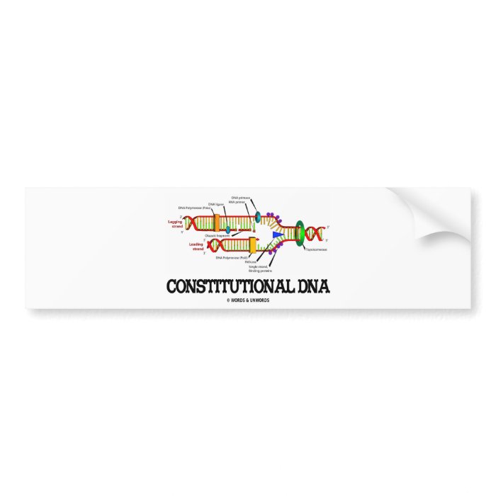 Constitutional DNA (DNA Replication) Bumper Sticker