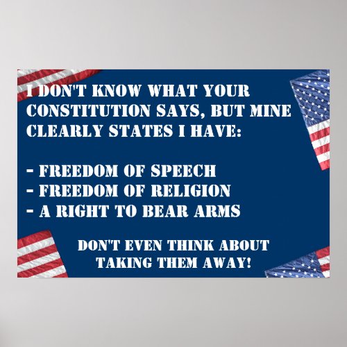 CONSTITUTIONAL RIGHTS POSTER