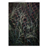 Construction (Front)