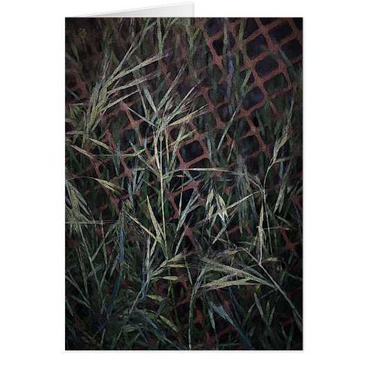 Construction (Front)