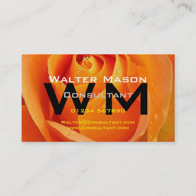 Consultant Create Your Own Easy Generic Business Card (Front)