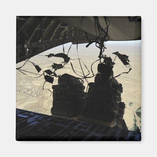 Container Delivery System bundles exit Magnet (Front)