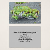 Container Gardening ~ ATC (Front & Back)
