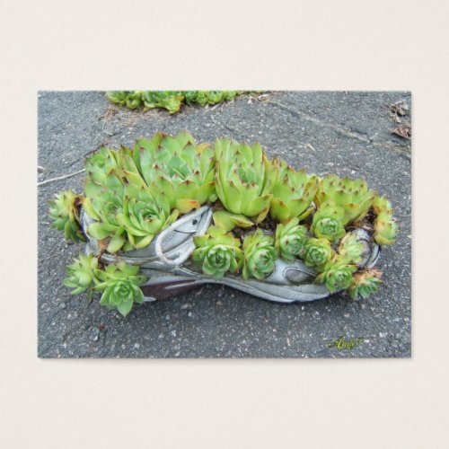 Container Gardening ~ ATC Business Card Templates