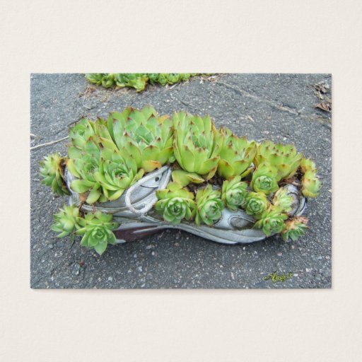 Customizable Container Gardening ~ ATC Business Card Templates