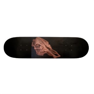 Conté Skull Skateboard