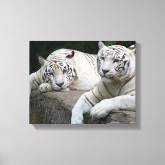 Contemplation Canvas Print