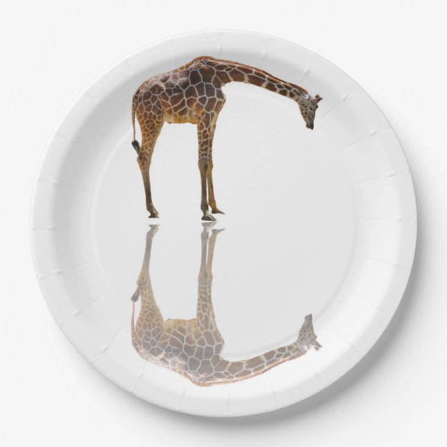 CONTEMPLATION PAPER PLATES (Front)