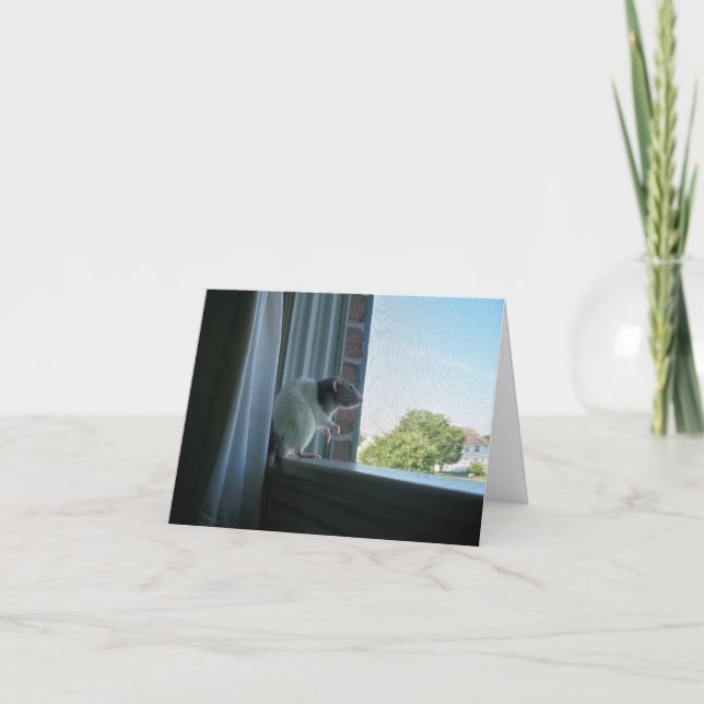 Contemplative Rat "Wish You Were Here" Note Card (Front)