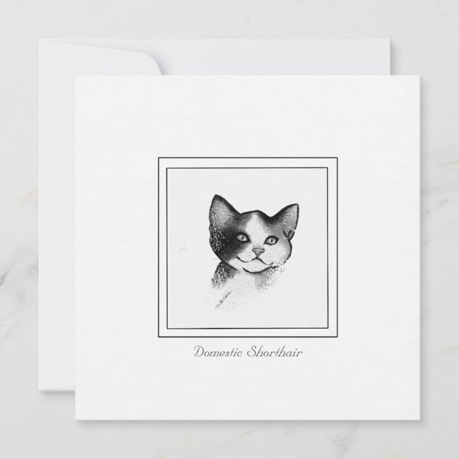 Contemporary Cat Sketch of a Domestic Shorthair    Note Card (Front)