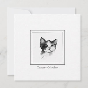 Contemporary Cat Sketch of a Domestic Shorthair Note Card