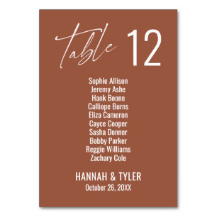 Contemporary Elegant Terracotta Double Digits Table Number