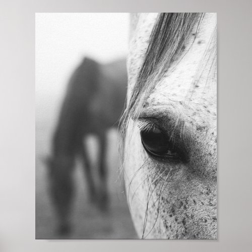 Contemporary horse eye photography poster
