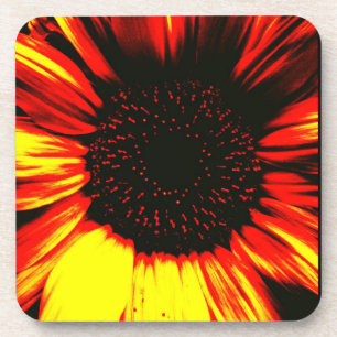 contemporary large sunflower seed head and petals beverage coaster