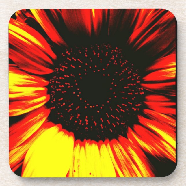 contemporary large sunflower seed head and petals beverage coaster (Front)