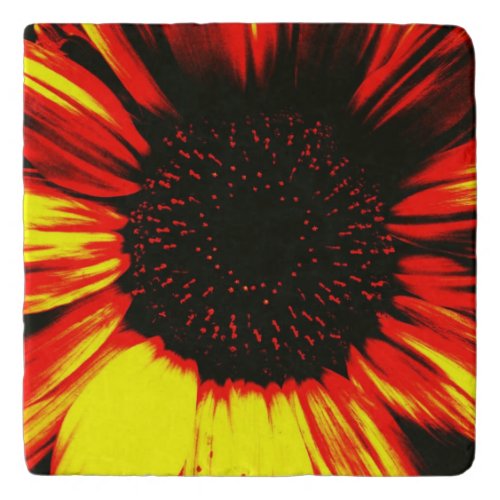 contemporary large sunflower seed head and petals trivet