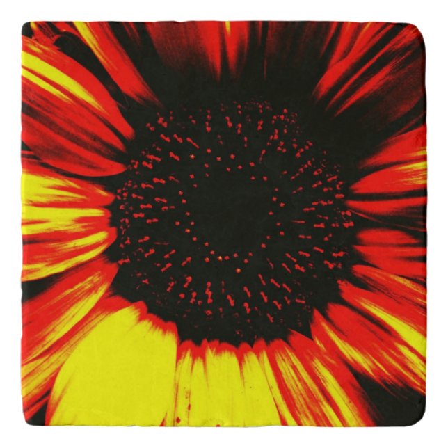 contemporary large sunflower seed head and petals trivet (Front)