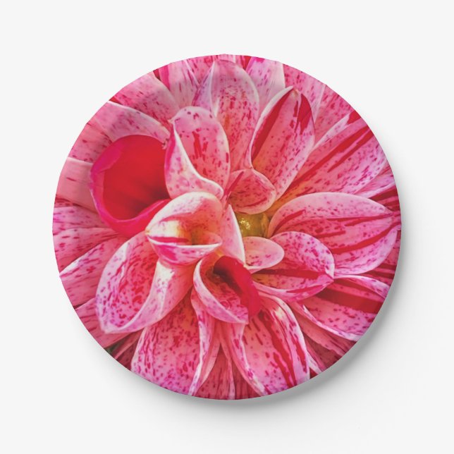 contemporary Pink Floral Photography Paper Plates (Front)