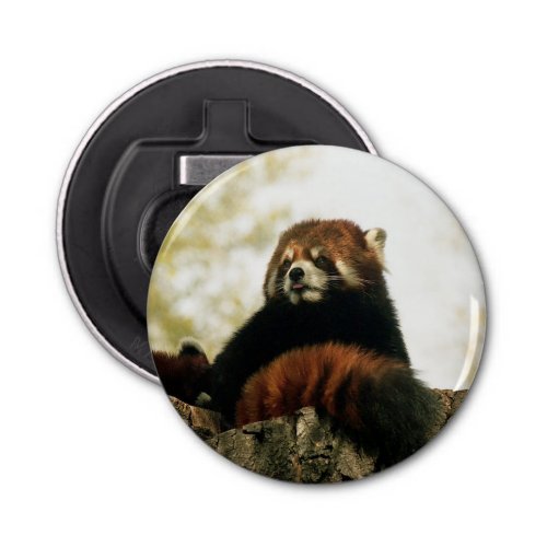 Contemporary Red Panda Photography Bottle Opener