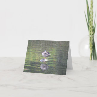 Content Mallard Duck sitting on rock. Note Thank You Card