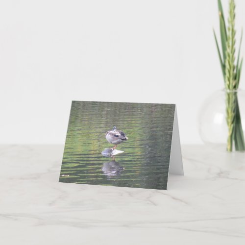 Content Mallard Duck sitting on rock Note Thank You Card