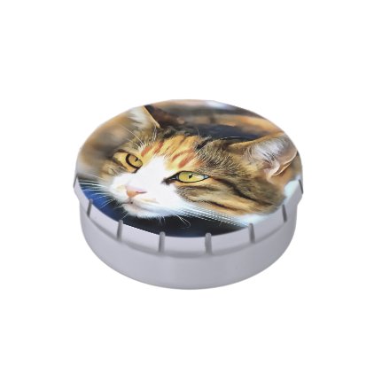 Contented Cat Candy Tin