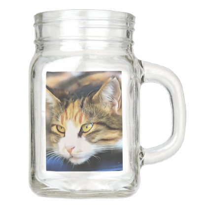 Contented Cat Mason Jar