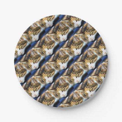 Contented Cat Paper Plate