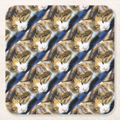 Contented Cat Square Paper Coaster