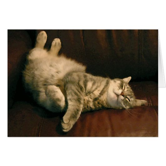Contented Kitty Cards (Front Horizontal)