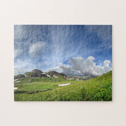Continental Divide Meadow _ Colorado Trail Jigsaw Puzzle
