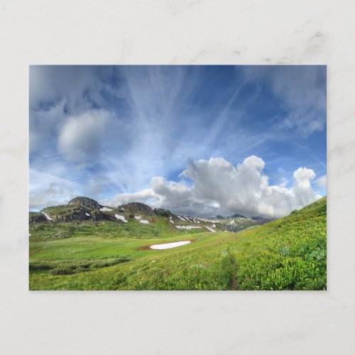 Continental Divide Meadow _ Colorado Trail Postcard