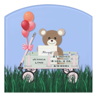 Contour Acrylic Room Door Sign New Baby Girl