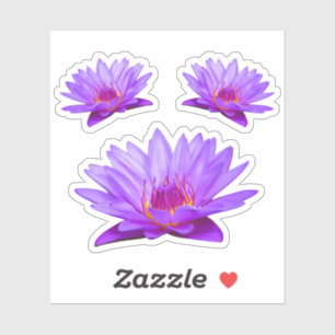 Contour Purple Water Lilies Vinyl Sticker