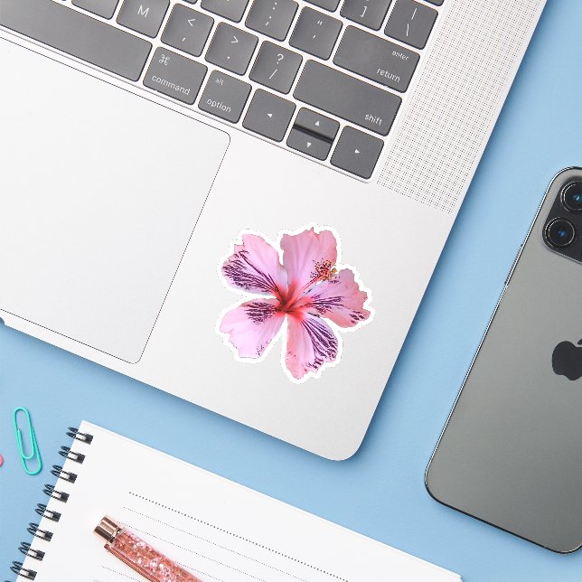 Contour Sticker Hibiscus (Laptop w/ iPhone)