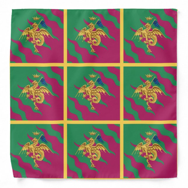 Contrada del Drago (Dragon) Palio di Siena Bandana (Front)