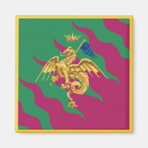 Contrada del Drago (Dragon) Palio di Siena Magnet