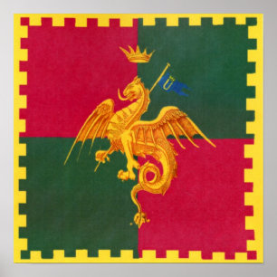 Contrada del Drago (Dragon) Palio di Siena Poster