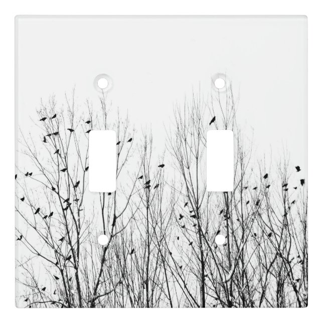 Contrast Light Switch Cover (Front)