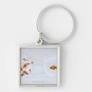 Contrast of many goldfish in fishbowl and keychain