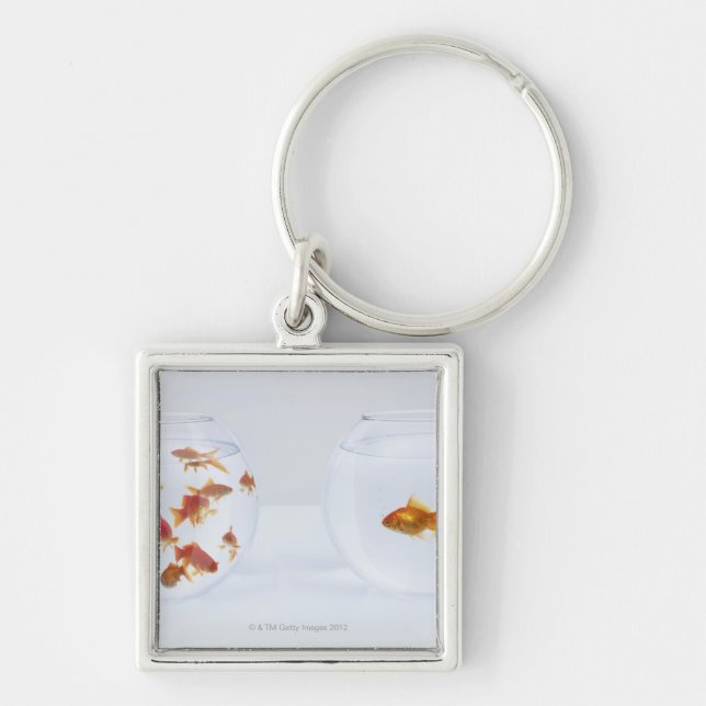 Contrast of  many goldfish in fishbowl and keychain (Front)