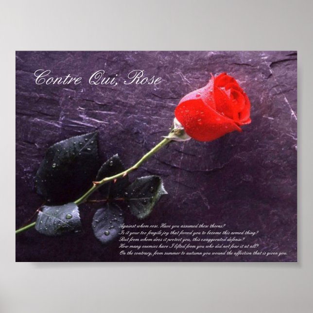 Contre Qui, Rose Poster (Front)
