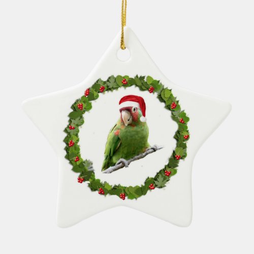 Conure Christmas Wreath Ceramic Ornament